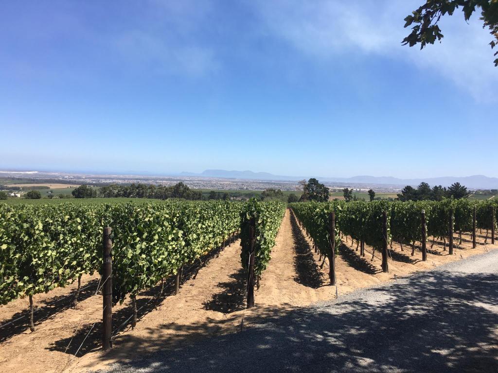 Oude Werf Hotel Stellenbosch Luaran gambar